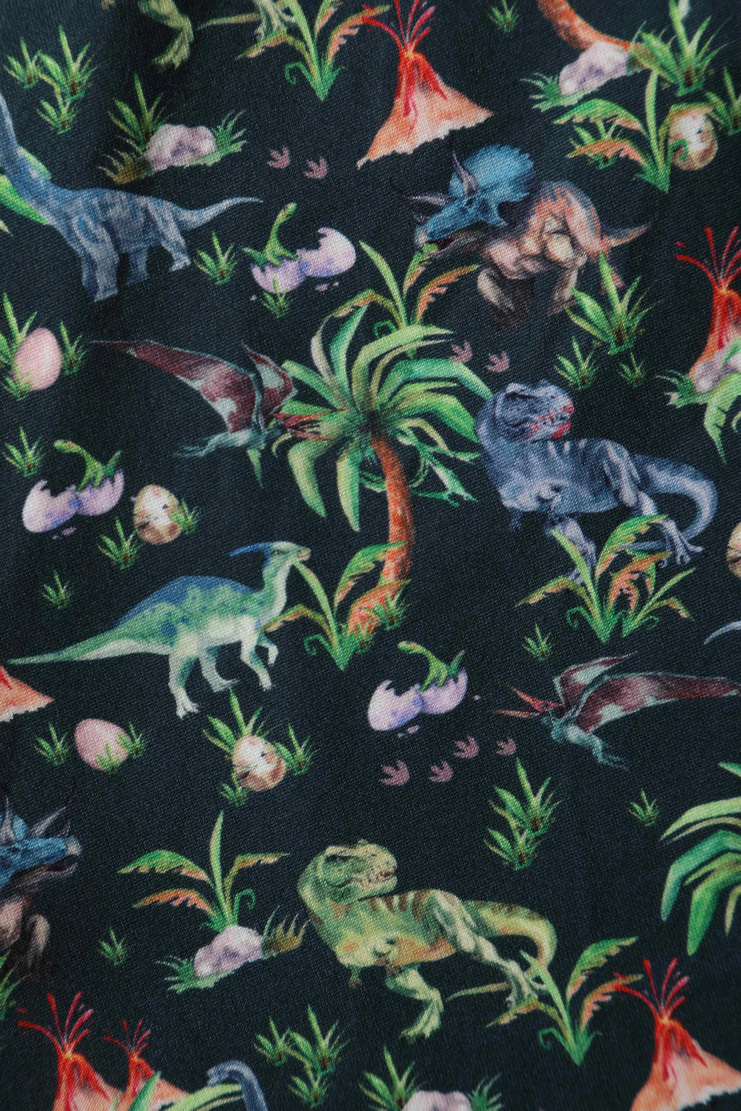 Billie Dinosaur Forest Long Sleeved Dress