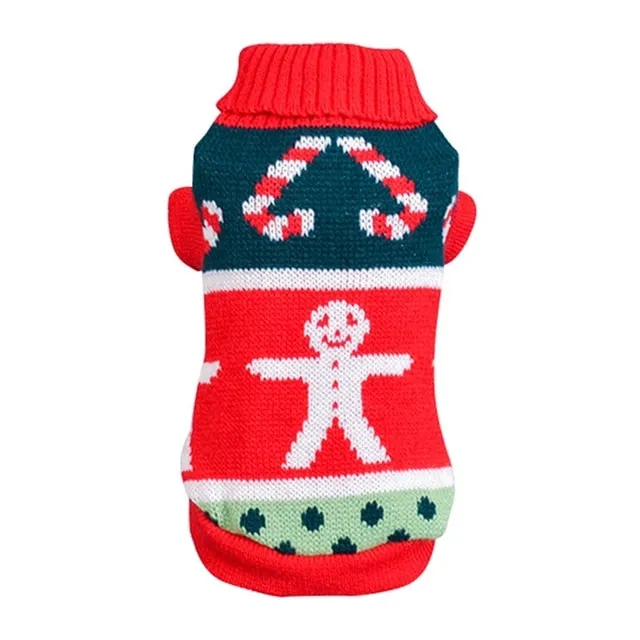 Winter Printed Sweater